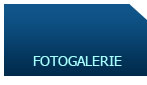 FOTOGALERIE